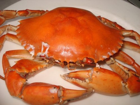 钦州特产:钦州青蟹_钦州美食街_钦州论坛_钦州之窗