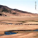 䛲鿴D