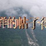 䛲鿴D
