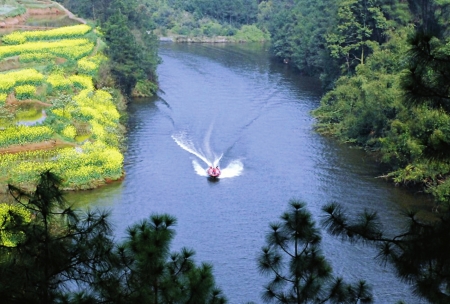 分享第13届尖山飞龙峡桃花会今开幕赏花攻略组图