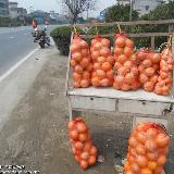 䛲鿴D