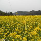 䛲鿴D
