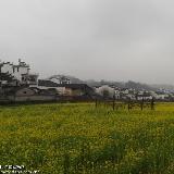 䛲鿴D