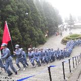 䛲鿴D