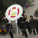 䛲鿴D