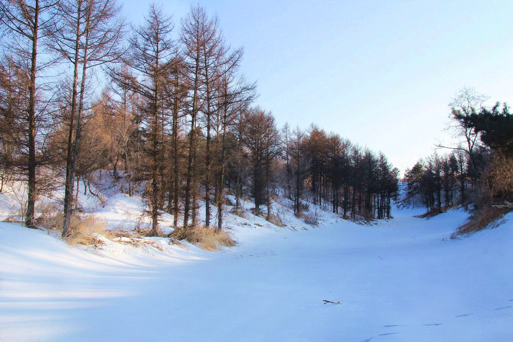 [原创]林海雪原