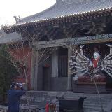䛲鿴D