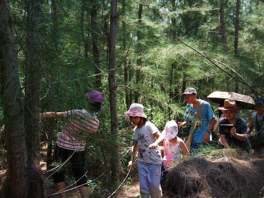 大家都知道湛江的东海岛四面环海,四周平原,是中国第一长滩,适宜看大海、游海水浴。而我这次去东海岛并不是为了看大海,也不是为了游海水浴,我们是去爬山,很低矮的一座小山。这座小山虽然矮小,但却是整个东海岛最高的地方,登上山顶,整个东海岛可以一目了然,可以看到钢铁厂、炼油厂正在建设的热火朝天的景象,还可以看到远处的硇洲岛.