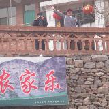 䛲鿴D