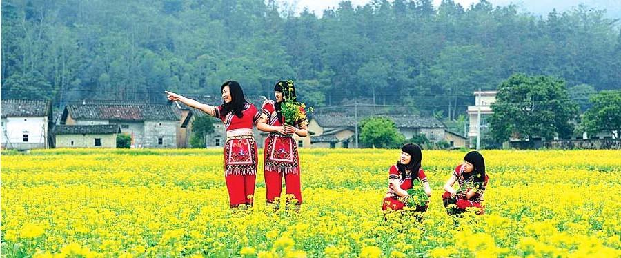 博罗横河花园村:古村落 百亩油菜花(图)_生活随拍_惠州论坛