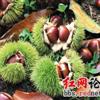 登录查看大图