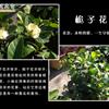䛲鿴D