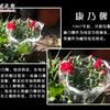 䛲鿴D