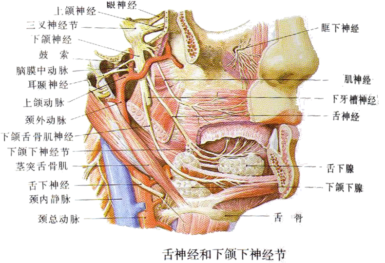 治疗癫痫病最好的医院 治疗癫痫最专业的医院 哪最好