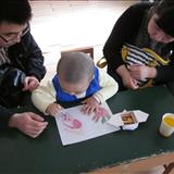 䛲鿴D