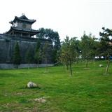 䛲鿴D