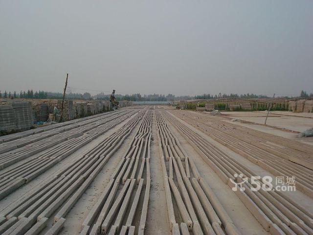 20120311161236254.jpg