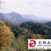 南郑黎坪国家森林公园