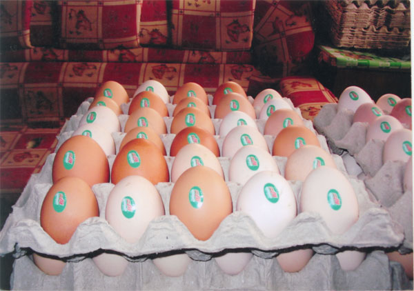 专利产品：“二海”牌有机鸡蛋（土鸡蛋）