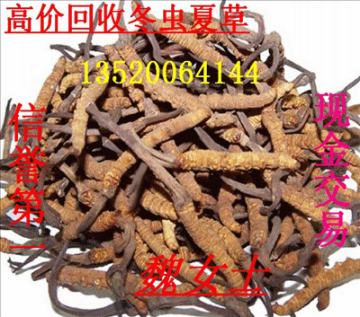 高价回收冬虫夏草海参燕窝药品
