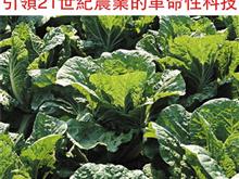 博洁农业技术开发有限公司广州分公司