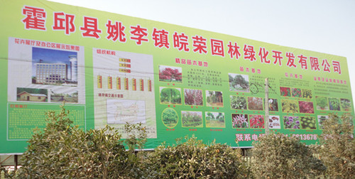 安徽皖荣园林绿化开发有限公司