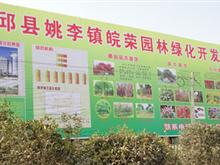 安徽皖荣园林绿化开发有限公司形象图