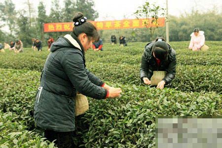 长阳隆惠农业科技开发有限公司