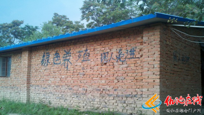 西和县赵鹏特种野猪养殖农民专业合作社