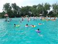 泗洪西郊公园游泳池