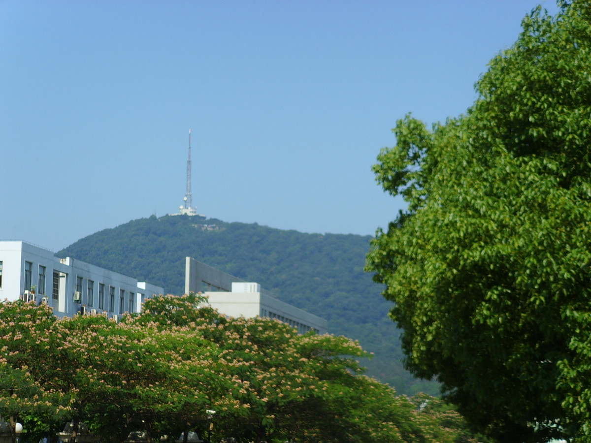 描述:夏季大蜀山