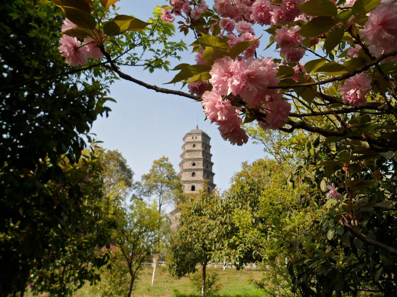 清明时节重游东山公园