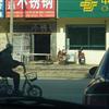 ¼鿴ͼ
