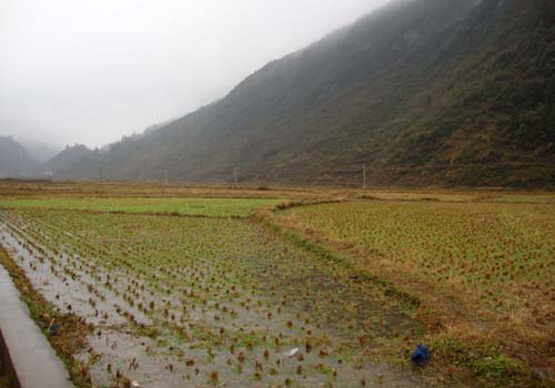 酉阳小坝龙池拆迁图片