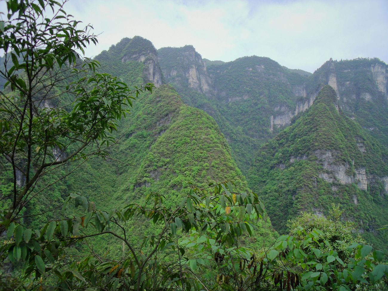 秋游仙谷山_摄影天地_湄潭论坛_湄潭在线