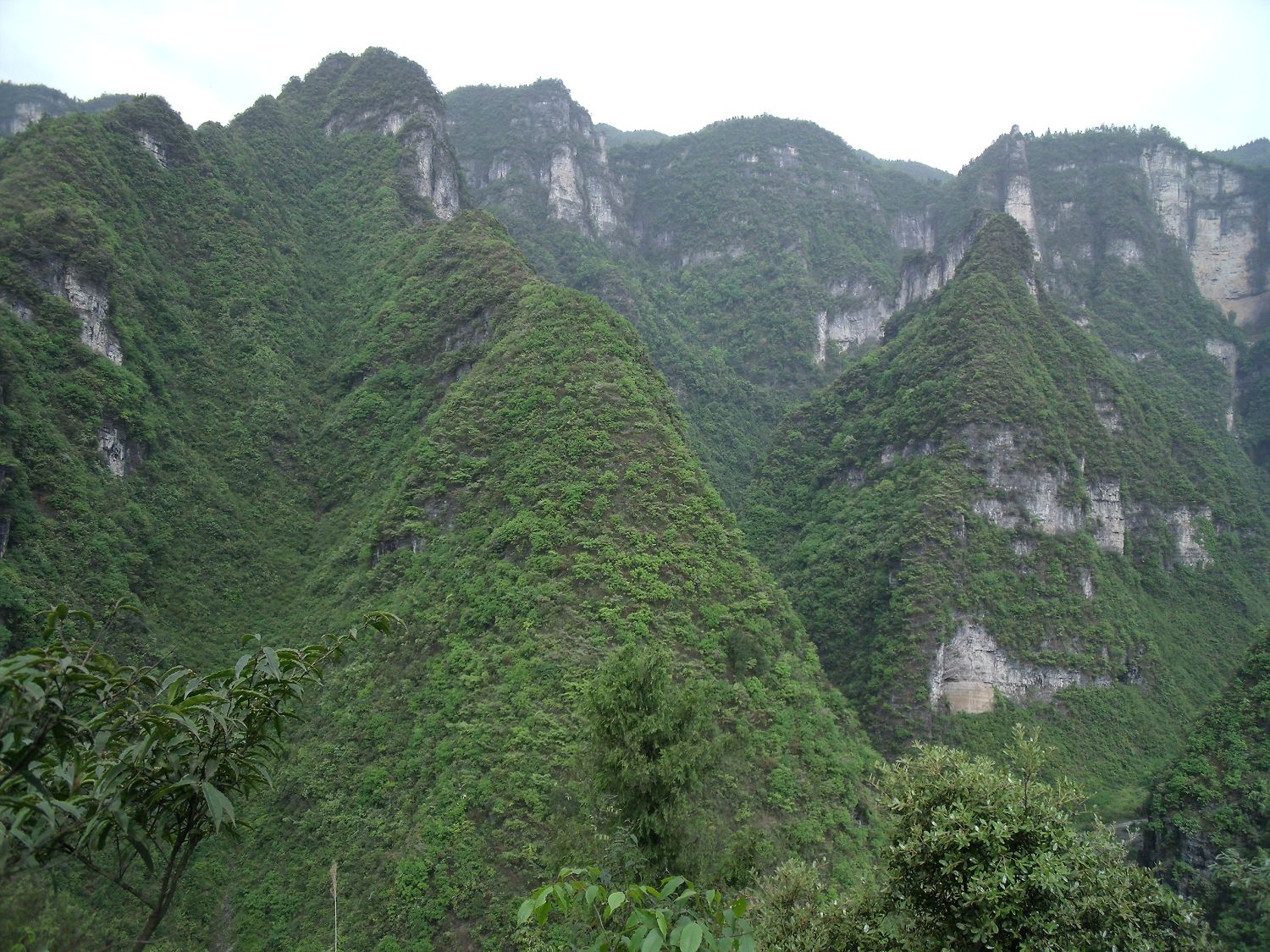 湄潭县仙谷山简介图片