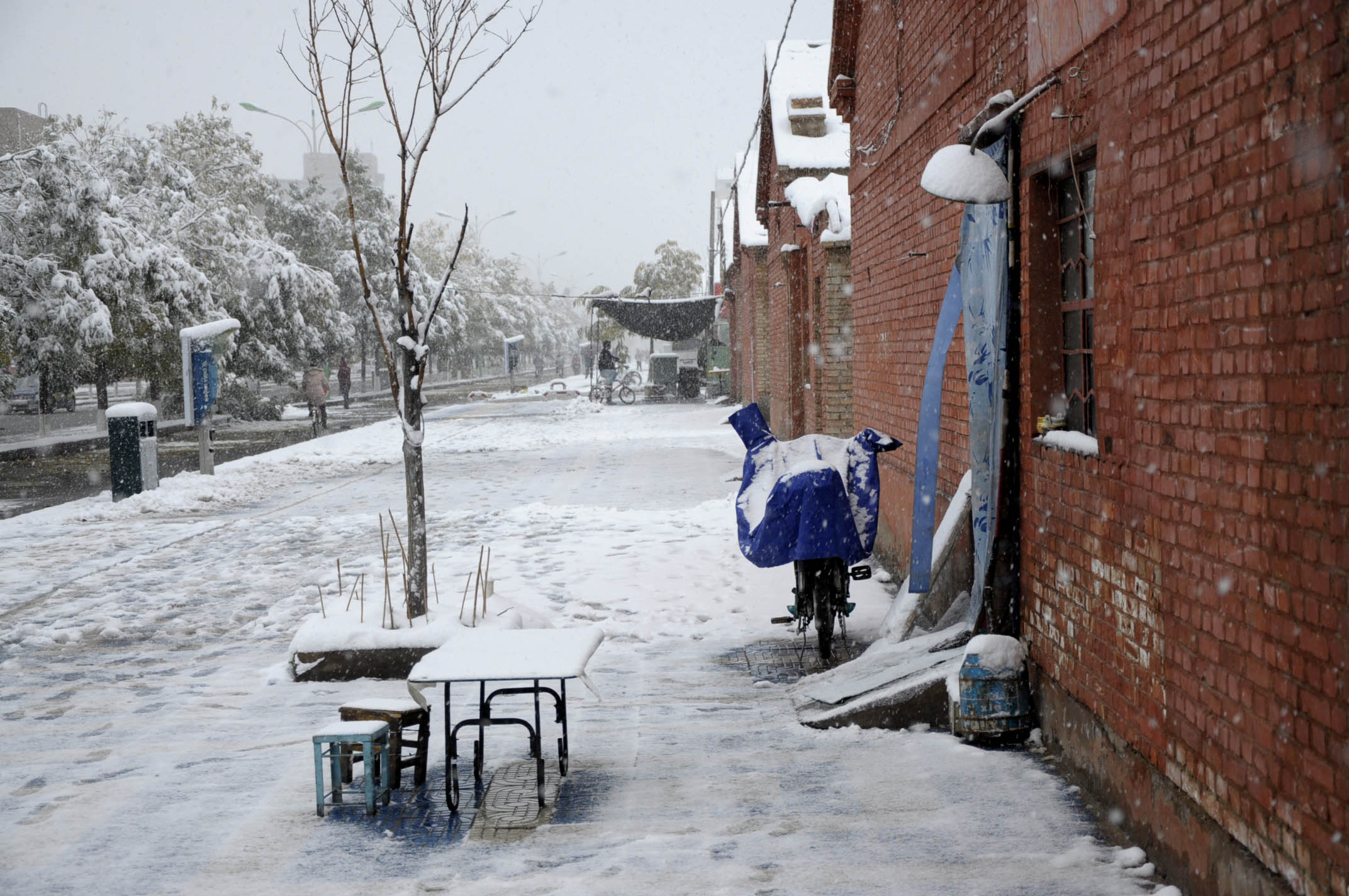 原创2010年的第一场大雪