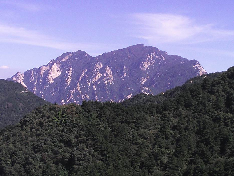 東看王順山