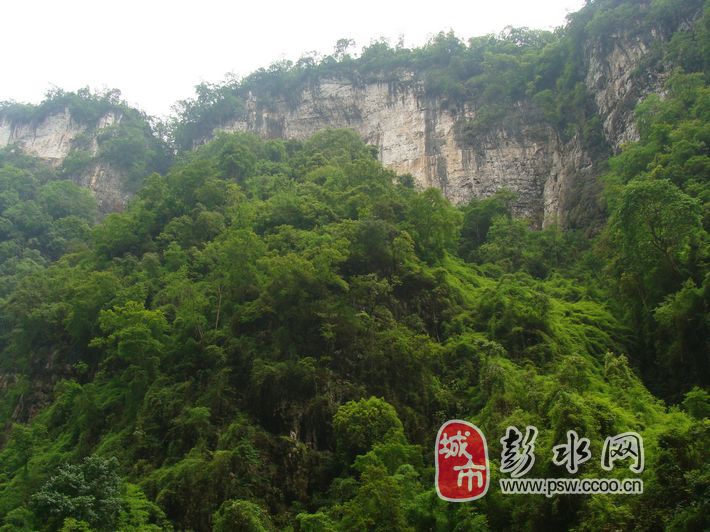 [贴图]彭水大垭乡境内的芙蓉江