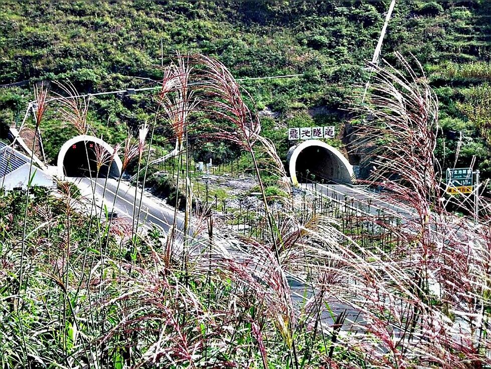 酉阳小坝龙池拆迁图片