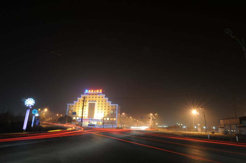 "画说平舆"之《温泉大酒店夜景》