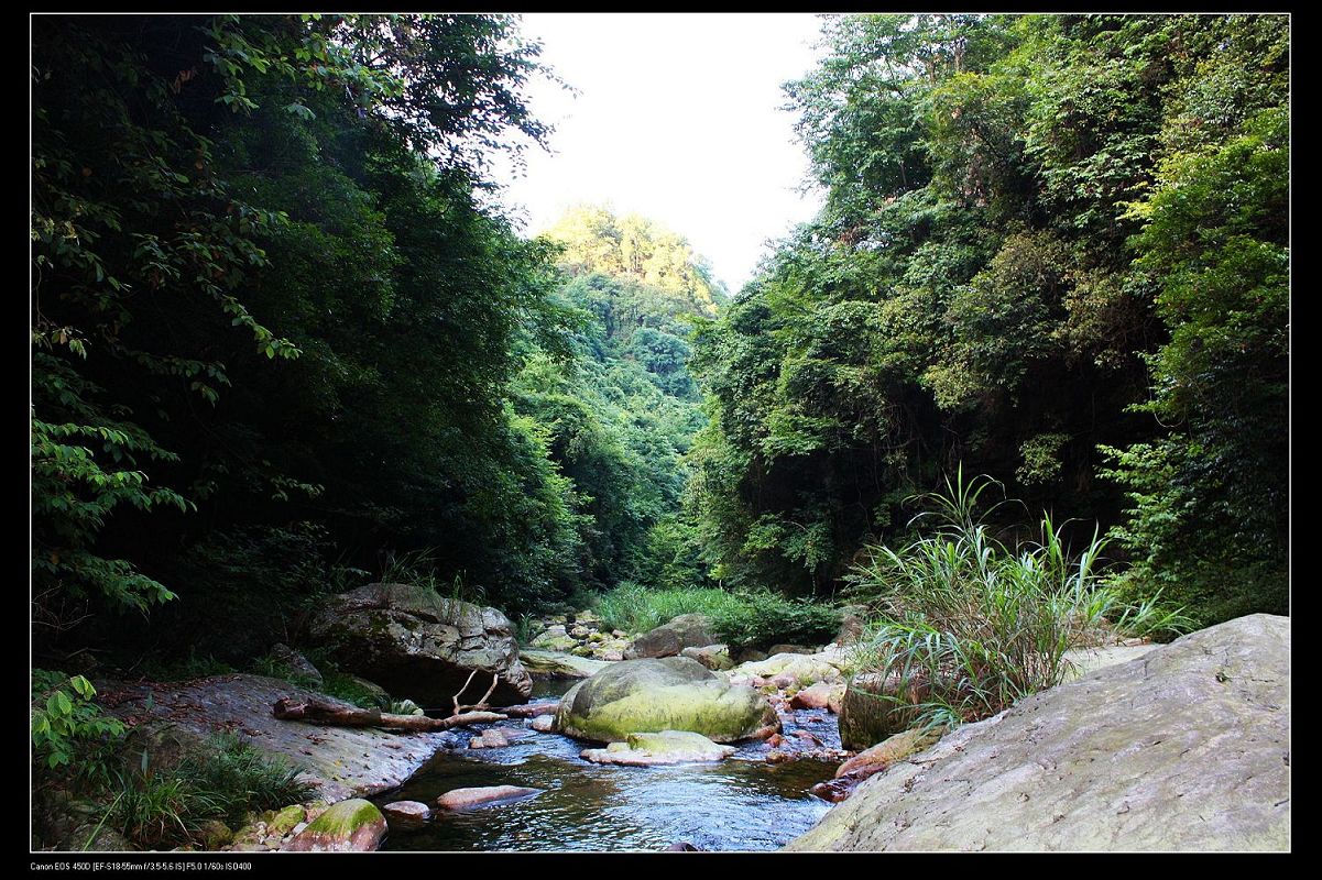 斗篷山原始森林風光欣賞