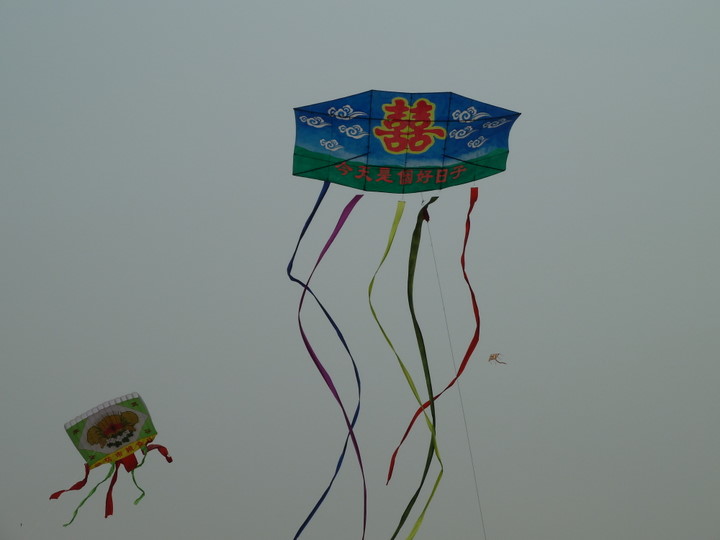 [贴图]潍坊国际风筝节放飞,咱如东什么时候也能有风筝节啊