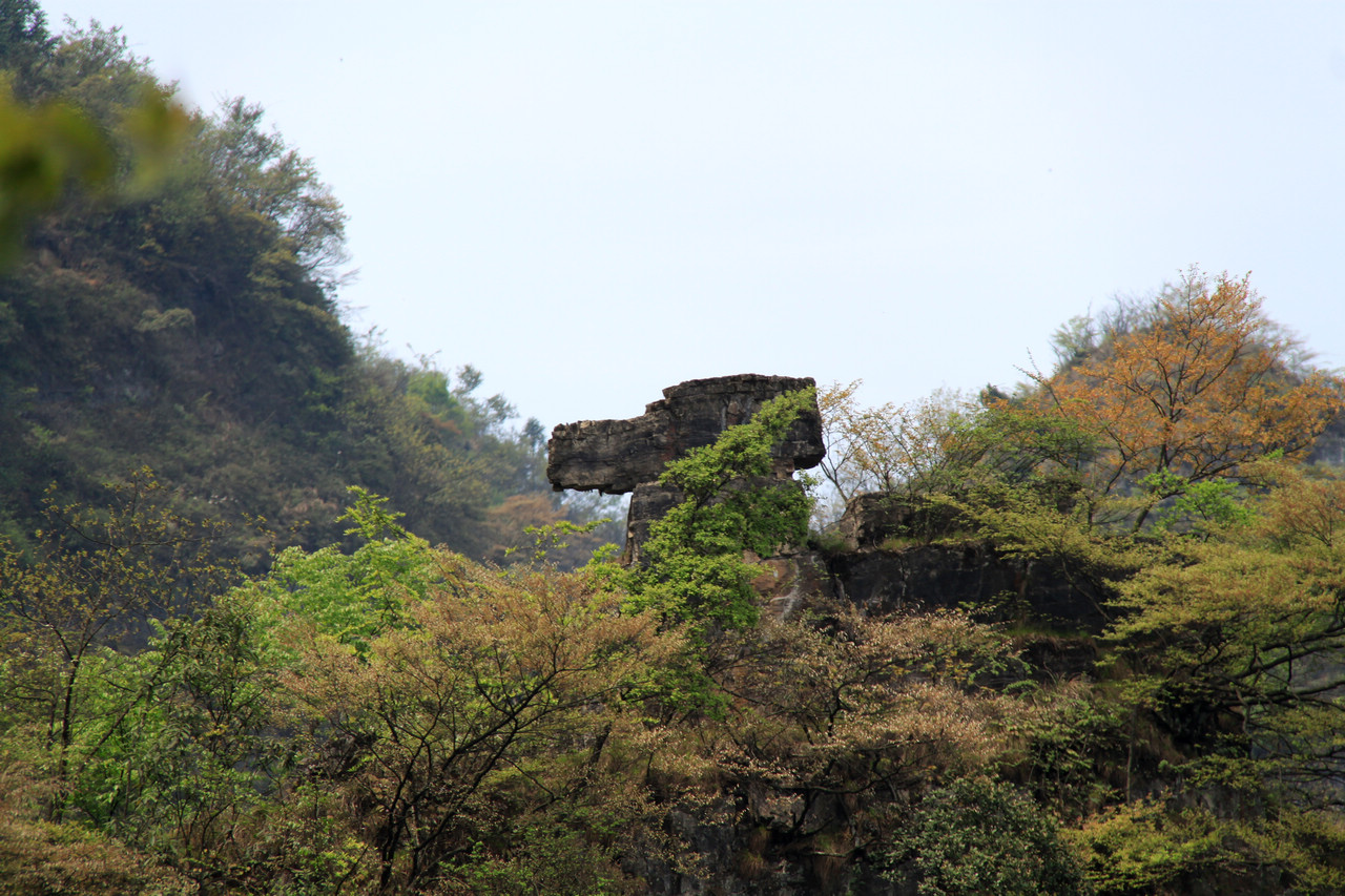 湄潭县仙谷山简介图片