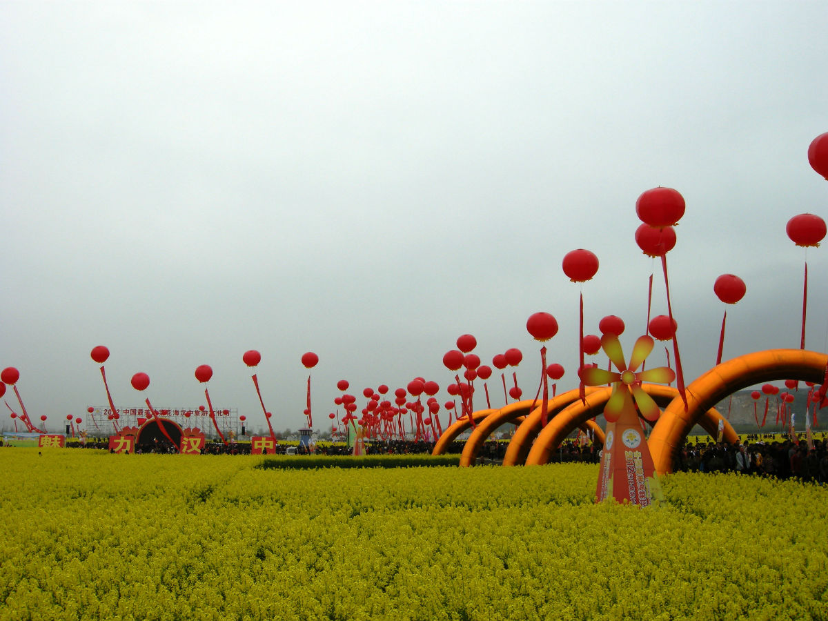 2015汉中油菜花节图片