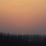 ¼鿴ͼ