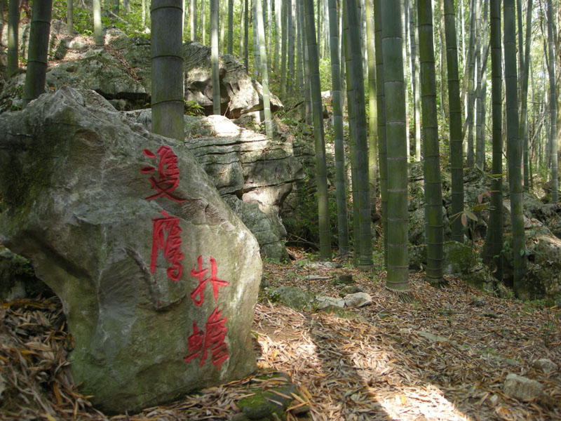 大竹五峰山森林公园(大竹竹海公园)最新图片