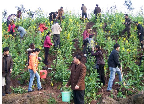 3.12植树节 三月十二日来历 3月十二日孙中山与植树节