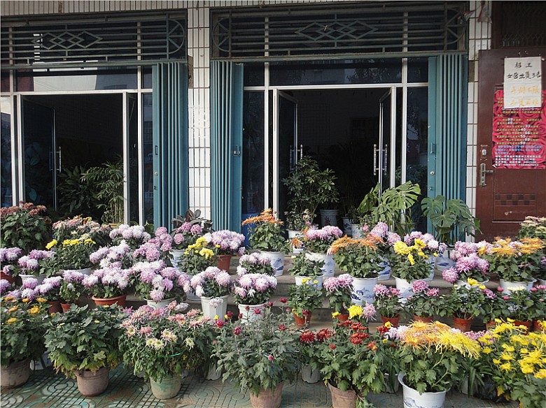 潮州花卉盆景市场图片