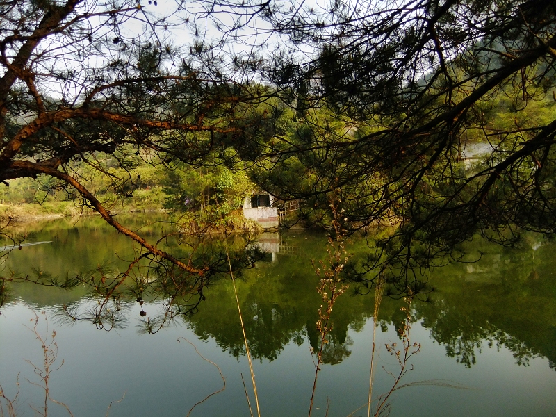 通城木鱼湖图片